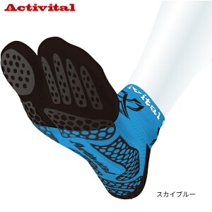 ANeBoC^ ACTIVITAL PRO e[uejX 싅\bNX C  HRD1088 HRD1089