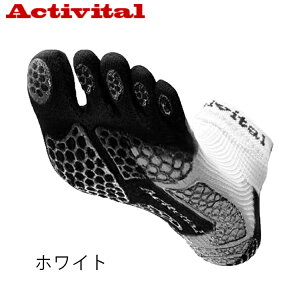 ANeBoC^ ACTIVITAL \bNX C PRO RUN v  5{w T|[^[  1196 1301 1202 1318