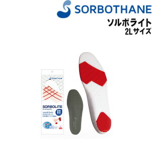 シューキーパー 中敷 インソール ソルボライトの人気商品 通販 価格比較 価格 Com シューキーパー 中敷 インソール ソルボライトの人気商品 通販 価格比較 価格 Com