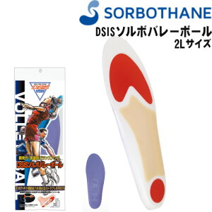 SORBO \{ C\[ DSIS \{o[{[(2LTCY) ~ 61824 o[{[p~