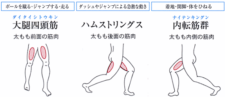 激安大特価 ザムスト Zamst 足部サポーター Ts 1 太もも L 設備 備品 野球部 野球用品 スワロースポーツ Riosmauricio Com
