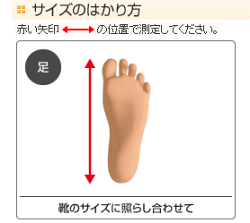 アンクルガード