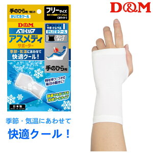 D&M ̂ЂT|[^[ AXfB KN[ X[u^Cv ̂Ђp 1 Ep 109301