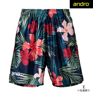 andro Ah 싅pc FULL DESIGN SHORT tfUCV[c 싅jtH[ Y fB[X