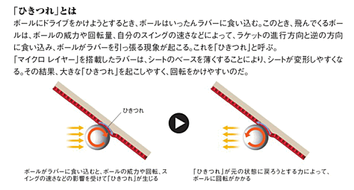 楽天市場】【今だけプレゼント付き】バタフライ BUTTERFLY 卓球ラバー