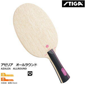 XeBK 싅Pbg A[A I[Eh VF[Nnh FLA STR STIGA 1056