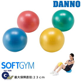 DANNO ダンノ ソフトギムニクボール トレーニングボール エクササイズ フィットネス D-5415 D-5416 D-5417