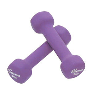 o[R[g_x1 [1kg×21g] g[GCCg H-9055 tBbglX GNTTCY EGCgg[jO