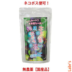 健康茶【 馬ぶどう 茶 】（ぶすの実茶・野ぶどう茶） 4g×20包ティーバック入り　「（有）やないづ食品」（無農薬国産品）【クロネコゆうパケットのみ可】※3袋以上の時は宅配便で発送となります
