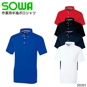 |Vc Ka z L |GXe100 Y ƕ ƒ [NEFA jtH[ 50391 SOWA S-6L