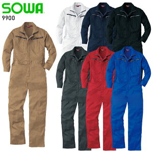 ƕ ƒ [NjtH[ Ȃ Ka SOWA 9900 |GXe80E20 Y