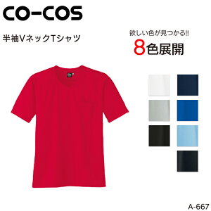 VlbNTVc z ڐG⊴ R[RXM Y Ci[ ƕ ƒ [NEFAA-667 CO-COS S-5L