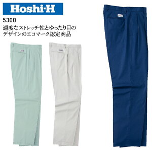 ƕ zV XbNX 5300 Y tėp ƒ GR}[N 73-120