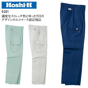 ƕ tėp J[Spc GR}[N zV Y ƃY{ ƒ [NEFA 5301 Hoshi-H 73-120