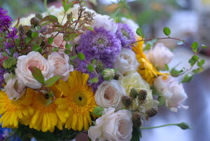 t[AWgyCG[Of[VzFԑFyYALOieCxgjAAa