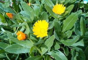 ~炸iFjcicA3|5cmA5{j