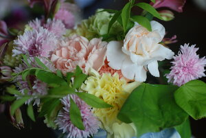 t[AWgypXezFԑFyYALOieCxgjAAa