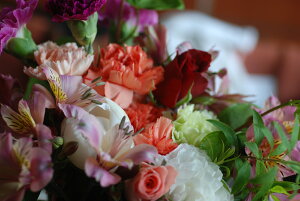 t[AWgybhzFԑFyYALOieCxgjAAa