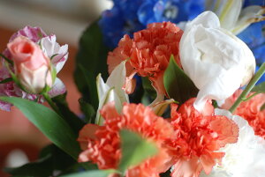 t[AWgyIWzԑFyYALOieCxgjAAa