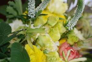 t[AWgyCO[zԑFyYALOieCxgjAAa