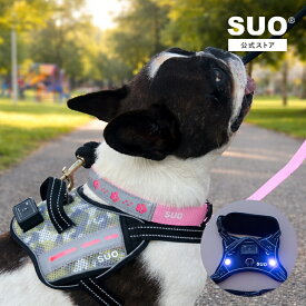 ＼17日9:59までクーポンで5%OFF／SUO 光るリード 光る首輪 光るハーネス PCM 肉球 迷彩 充電式 防水 反射 LED 犬 夜間散歩 夜道 安全 小型犬 中型犬 大型犬 全カラー XS S M L XL お散歩 犬用品 プレゼント 誕生日 PCM 熱中症対策
