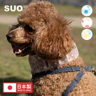【SUO(R) 公式】【4千円以上購入&レビューで保冷巾着袋プレゼント！】SUO(R) 正規代理店 日本製　 SUO 18…