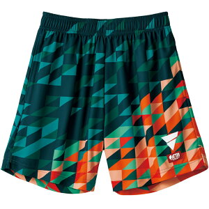 y|Cg10{zVICTAS V-GP221 싅 Zp 2021NV ňl S: