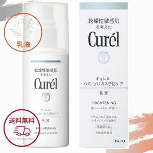 L t  ԉ V~E\oJX\hPA t 110ml t [V 򕔊Oi S |Cg Kao Curel