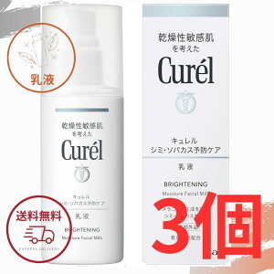 L t  ԉ V~E\oJX\hPA t 110ml t [V 򕔊Oi S |Cg Kao Curel 3Zbg