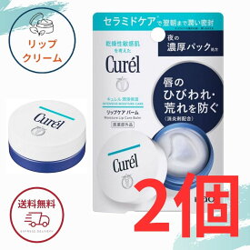 花王 キュレル リップケア バーム 4.2g リップバーム 全国送料無料 ポイント消費に Kao Curel 2個セット