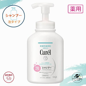 L Vv[ y A^Cv z ԉ AVv[ |v 480ml S |Cg Kao Curel