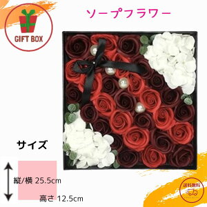 Mtg  Xg1Iy\[vt[z Mtg{bNX 25.5×25.5×H12.5cm p bh ԃAW v[gɍœKI