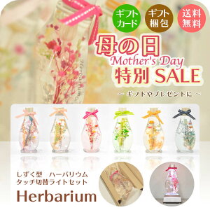 y̓SALEz̓ Mtg n[oE(1{ 100m^r)^b`ؑփCg(USBEdrgp)ZbgIׂ6J[hCt[vU[uhuU[hMtgv[g