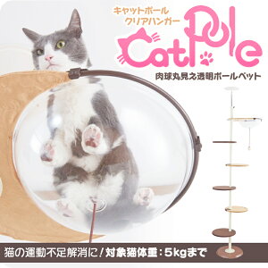 透明 ボウル 猫用品の人気商品 通販 価格比較 価格 Com