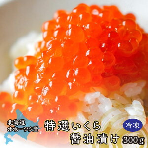 ݖЂ(kCY) 300g CN т̂  Mtg v[g NNn  N  Ε 蕨 p