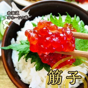 i500g kCz[cNY@Y  ؎q Ⓚ XWR  т̂  Mtg NNn N  Ε 蕨