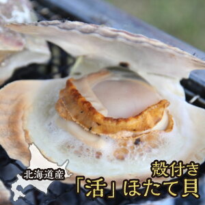 kCuvقĊL kt 30  ق L hg  Mtg v[g NNn N Ε 蕨