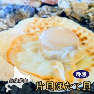 kC Ⓚ ЊLق kt 30  ق L  Mtg v[g NNn N Ε 蕨