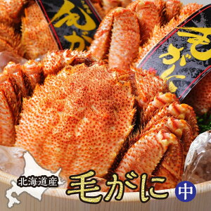 kCIz[cNY@ⓀтɁij уKj ъI  j Mtg v[g 蕨 NNn N Ε