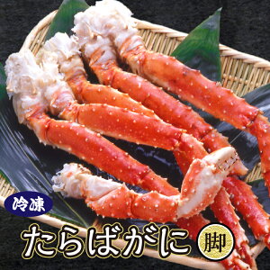 {C ^oKj r@1kgO Ⓚ  Jj I ^oI ΂   Mtg j v[g NNn N Ε 蕨