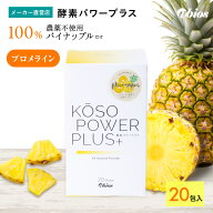 【公式】酵素パワープラス（20包入) | パイナップル パイナップル酵素 ブロメライン 消化 酵素 粉末 タン…