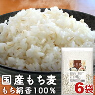 ＼楽天ランキング1位獲得！／ もち麦 国産 栃木県産 もち絹香 4.8kg (800g×6袋) 送料無料 ダイエット 雑…
