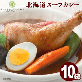 スープカレー レトルト からだ想いの北海道スープカレー 10食(300g×10袋) 送料無料 グルテンフリー