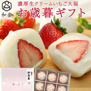 _yVLO1ʊlI^ N[啟  6  Mtg Ε XC[c َq v[g 啟 ACX ay