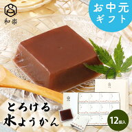 ＼楽天ランキング1位獲得！／水ようかん とろける水ようかん こしあん 110g×12個 送料無料 ギフト スイ…