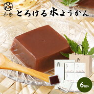 ＼楽天ランキング1位獲得！／ 水ようかん とろける水ようかん こしあん 110g×6個 送料無料 ギフト スイ…