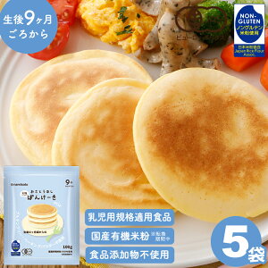 L@ς񂯁[mix ƂȂ 500g (100g×5) zbgP[L~bNX pP[L~bNX Oet[ Yĕ  Y Y x[LOpE_[sgp sgp rss