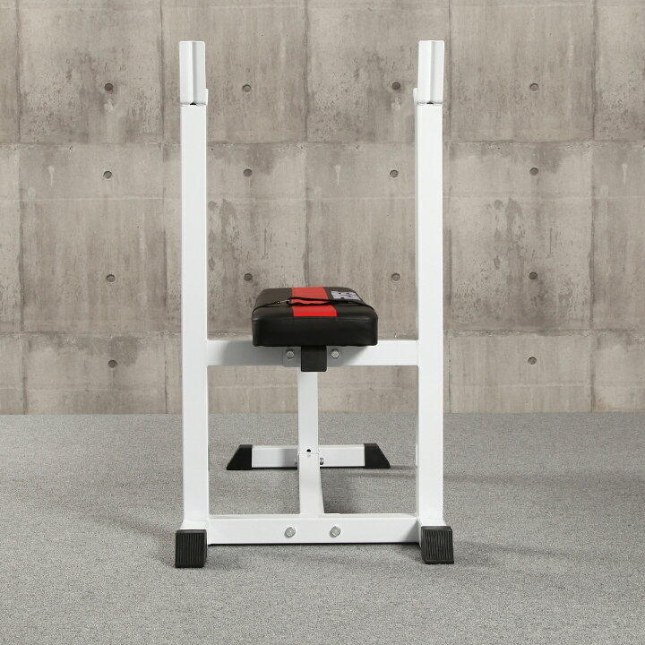 楽天市場】【予約販売！12/20入荷】IROTEC（アイロテック）プレス  