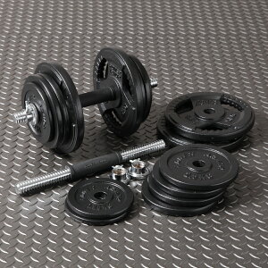 y10/18-10/20̓|CgAbvԁzPOWER ARMORip[A[}[jACA_x49KGZbgiЎ24.5KG×2j/ _x _xZbg SA[ ؃g ؃gObY z[W x`