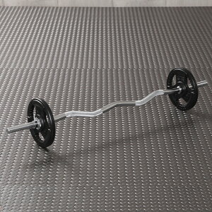 y10/30̓|CgAbvf[zPOWER ARMORip[A[}[jM[XN[Wo[ACA16KGZbg / _x ezo[ x`vX A[J[ wVtg  g[jO o[